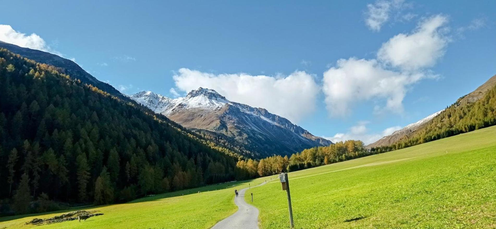 Zangerlehof Villa Slingia Bagian luar foto
